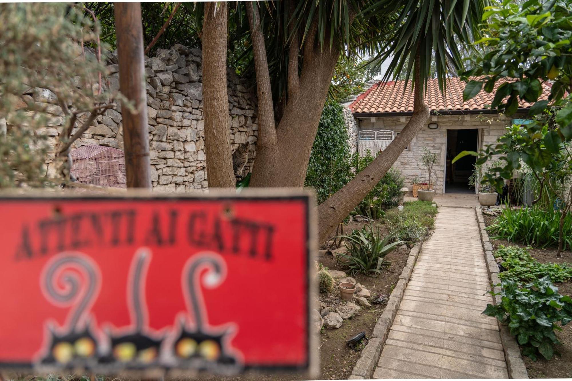 Alisei Holiday home Terlizzi